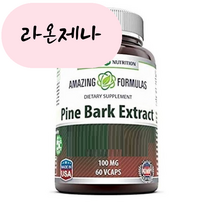 Amazing Nutrition Pine bark Extract 어메이징 뉴트리션 파인 바크 소나무 껍질 100mg 60캡슐, 1개, 60개