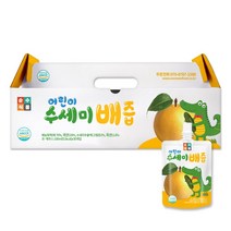 아이배냇 배도라지조아 100ml, 혼합맛(배/도라지), 40개