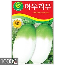 히카마 씨앗 50립 - 히카마씨앗 씨 멕시코감자 얌빈 감자씨앗 감자씨 히카마씨 얌빈씨앗 멕시코감자씨앗, 09_아우리무(1000립)