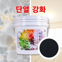 바르는 천연 단열 페인트 자연정원 항균 곰팡이제거 결로방지 5.5kg, 참숯