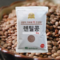 22년/렌틸콩 브라운렌틸콩 4kg / 슈퍼푸드 박스포장 대용량