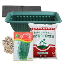 행복한세상 텃밭가꾸기 중 부추, 4개
