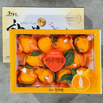 [산지에서바로] 고당도 제주 한라봉 프리미엄 선물세트, [보자기포장] 한라봉 3kg 대과 (8-10과)