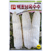 백초당 얼룩이초당 옥수수씨앗 100립, 1개