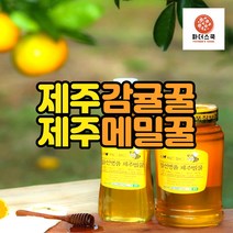 제주 천연벌꿀 100% 메밀꿀 감귤꿀 바퀴달린집꿀 메밀꽃꿀 농장 산지직송, 메밀꿀 2.4kg