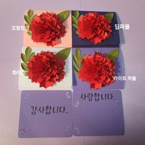 카네이션 용돈봉투 기프트콘 봉투종이꽃 봉투 현금봉투, 딥퍼플, 빨강