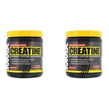 머슬맥스 머슬 빌딩 Muscle Building 크레아틴 Creatine 과일맛 Powder 264g X2팩, 1개
