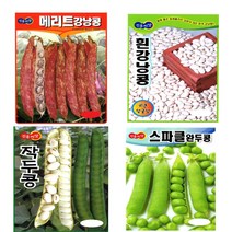 스파클완두 흰강낭콩 작두콩 얼룩이강낭콩 서리태 씨앗 종자 (스파클완두 흰강낭콩 작두콩 얼룩이강낭콩 서리태 씨앗 종자), 2.흰강낭콩 30g