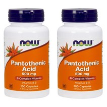 Now Foods - 나우푸드 판토텐산 비타민B5 칼슘 500mg 100정 2팩