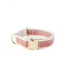 RED COBY GOLD COLLAR SMALL