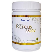 WELL LIFE PROPOLIS 웰라이프 프로폴리스 3500V 300정, 단품