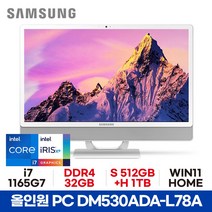 삼성 올인원PC DM530ADA-L78A - 32GB S512GB+H1TB WIN11 HOME 사무용 가정용 공간활용 일체형PC ED