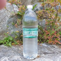 용암수 2L 530ml 천연 미네랄워터 물 안전한 알카리수 먹는샘물 오리온 생수 몸에좋은물 2021, 12병