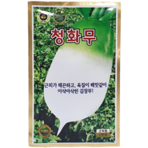 [씨앗맛집] 청화무 씨앗 2000립 근채류 씨앗 가을 김장 월동 무 야채 채소 무우 씨앗 씨 모종 종자 재배 키우기