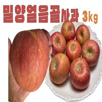 밀양얼음골사과 감홍 사과즙 영주별사과 3kg