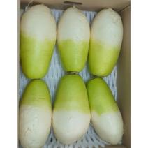 알뜰농장 다발무 세척 작업된 제주도 월동무 최상품 5~6수 (8-10kg 내외), 1개, 제주 세척 월동무 5-6수 (8-10kg)