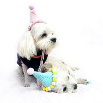 플라캣 강아지 고양이 생일 니트 꼬깔모자 특별한 날 생일파티, 3.핑크