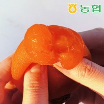 [농협] 자연건조 장성 대봉 반건시 곶감 특상품 8입