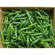 꼭지네 국내산 매운 매콤한 특품 청양고추 땡초 1kg 3kg 5kg 10kg 1박스, 청양고추 (특) 5kg