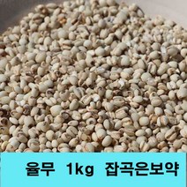 잡곡은보약 율무 국산 2021년산 율무쌀 국내산 햇율무 2kg 1kg선택, 1포, 1kg