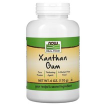 NOW 나우푸드 잔탄 검 Xanthan Gum 170g