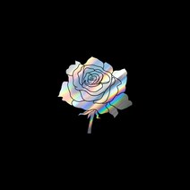 자동차포인트 00736 검은 장미 튜닝스티커, M, 홀로그램
