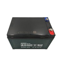 전동 휠체어 납산 배터리 12V12AH 6-DZM-12 DZF, Chaowei 12V 12A