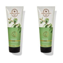 베스앤바디웍스 아로마테라피 유칼립투스 스피어민트 바디 워시 10Floz(295ml) 2팩