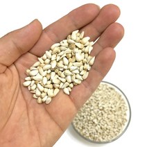 홍화씨 100g /[세척+볶음] 곡물 조류 사료