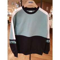 이랜드 [에스핏]에스핏 23년봄신상 아이싱엑서스제트밀라이즌맨투맨티셔츠4색상 SJX101MKRT22_동수원점