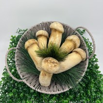 (경동버섯유통 송이 능이) 자연산 냉동 송이버섯 500g, S