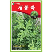 다농 산천 왕까마중 50립 - 씨 씨앗 까마중씨앗 까마중씨 강태 깜두라지 용규 나물씨앗 민속채소 채소씨 채소씨앗, 14_다농_개똥쑥(1만립)