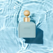 르몽도르 차량용 방향제 차량방향제 고급차량용디퓨저 자동차디퓨져 50ml 새차 신차선물, 레더50_씨브리즈