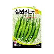 세계종묘 실꽈리고추씨앗 100립