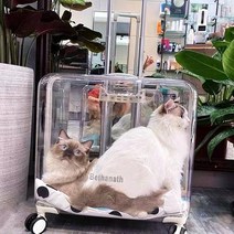 강아지 캐리어 고양이 이동장 투명 반려동물 캐리어 가방, 아이보리 화이트 특대형
