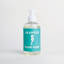 Swedish Dream Seaweed Liquid Hand Soap, 1
