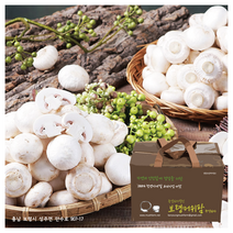 보령머쉬팜 양송이버섯 (500g/1Kg/꼬다마2Kg/특2kg), 양송이500g, 1개