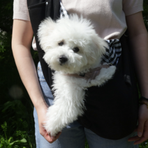강아지 고양이 가방 크로스백 슬링백 이동가방 캐리어, 블랙