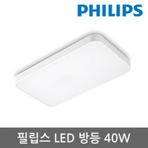 필립스 LED 방등 거실등 40W 6500K, 백색