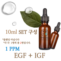 에코문 EGF + IGF 1ppm 2EA세트-10ml 원액 앰플 에센스, 1개, 10ml