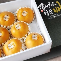 프리미엄 꿀 나주배 신고배 가정용 선물용 과일 햇 배 설 추석 명절 선물 세트 한박스 5kg 7.5kg 15kg, 5. 나주 신고배 7.5kg 10~12과 내외(선물용)