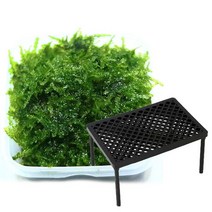 미미네아쿠아 무결점 미니삼각 모스+플라스틱 테이블 1개 세트