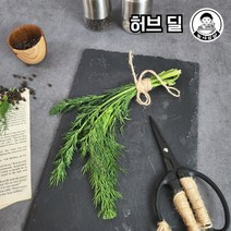 [농사임당] 식용허브 허브티 요리용 허브딜 생잎 50g/100g, 100g, 1개