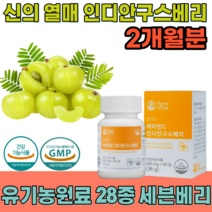 식약처 인증 신의 열매 인디안 구스 베리 비타민 C 110mg 유기농 원료 28종 세븐베리 무부형제 무첨가물 하루 한알 임신 전 후 직장인 간편하게 먹는 영양보충제 파는 곳 추천, 1