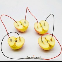 과일 전지 LED 실험 세트 RTS, 상세페이지 참조