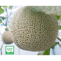 세지메론 고당도 머스크 세론이 멜론 11~13Brix 보통~특품 GAP인증 세지농협, 노랑박스(13Brix-특급) 1박스4수<5kg>, 1개” class=”wr-img”></a></div></p></div></p></div></p></div><div class=