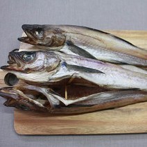 속초 코다리 5미