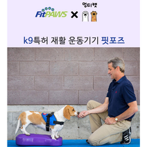 Fitpaws 핏포즈 강아지 훈련 노견 슬개골 디스크 허리 재활 치료 운동 짐볼 K9FITbone, 스몰 2세트, 레드