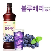 카페 블루베리 원액 970ml 에이드 음료 베이스 과일 주스 농축액 대용량