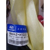 테라칸 후 범버 몰딩 은띄 (86642H1021)(86642H1020)